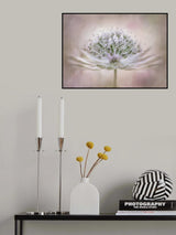 Waiting for better days Poster och Canvastavla