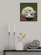 Two Cutie Poster och Canvastavla