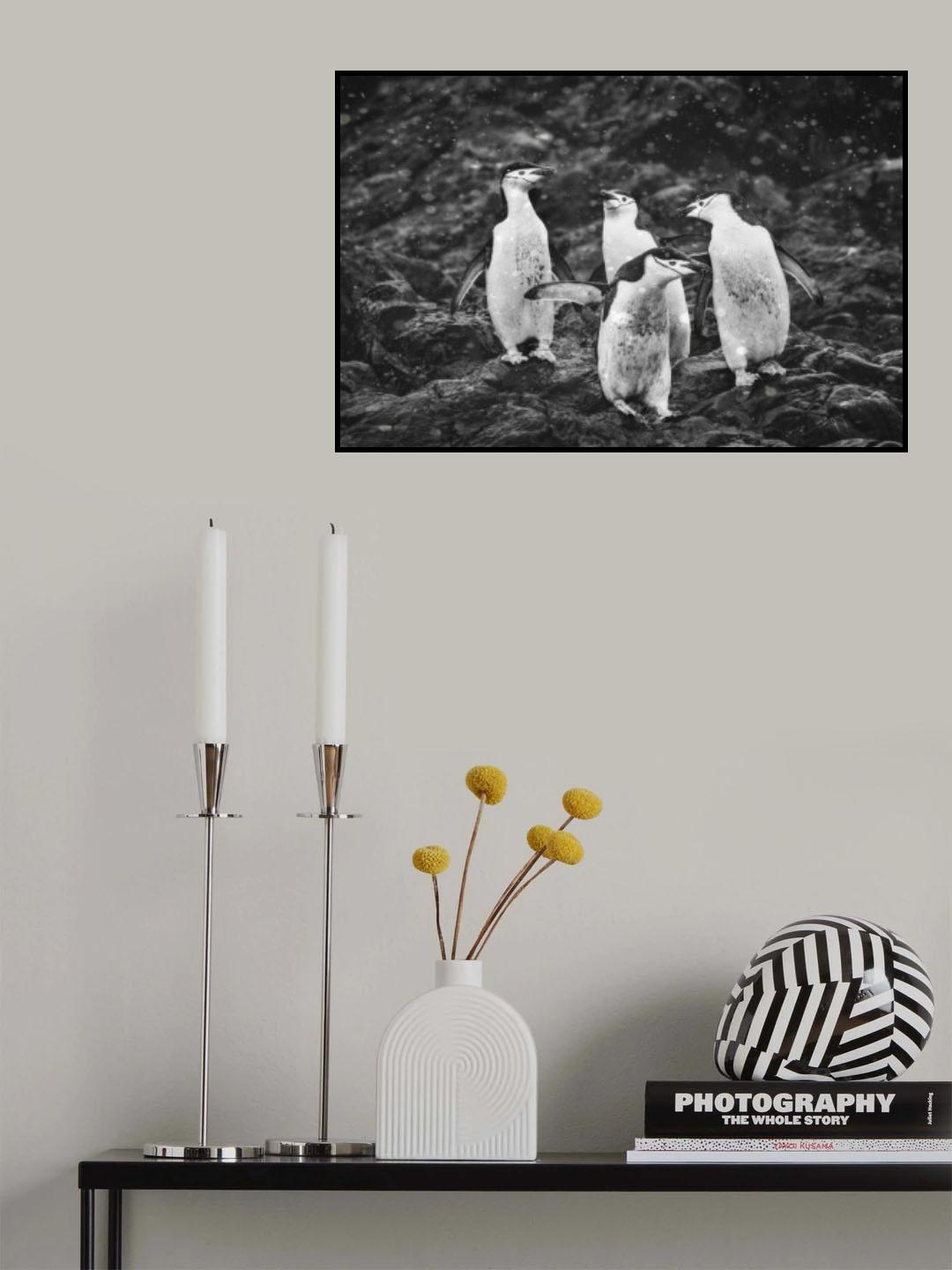 Happy Penguins in Heavy Snow Poster och Canvastavla