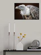 der Blick Poster och Canvastavla