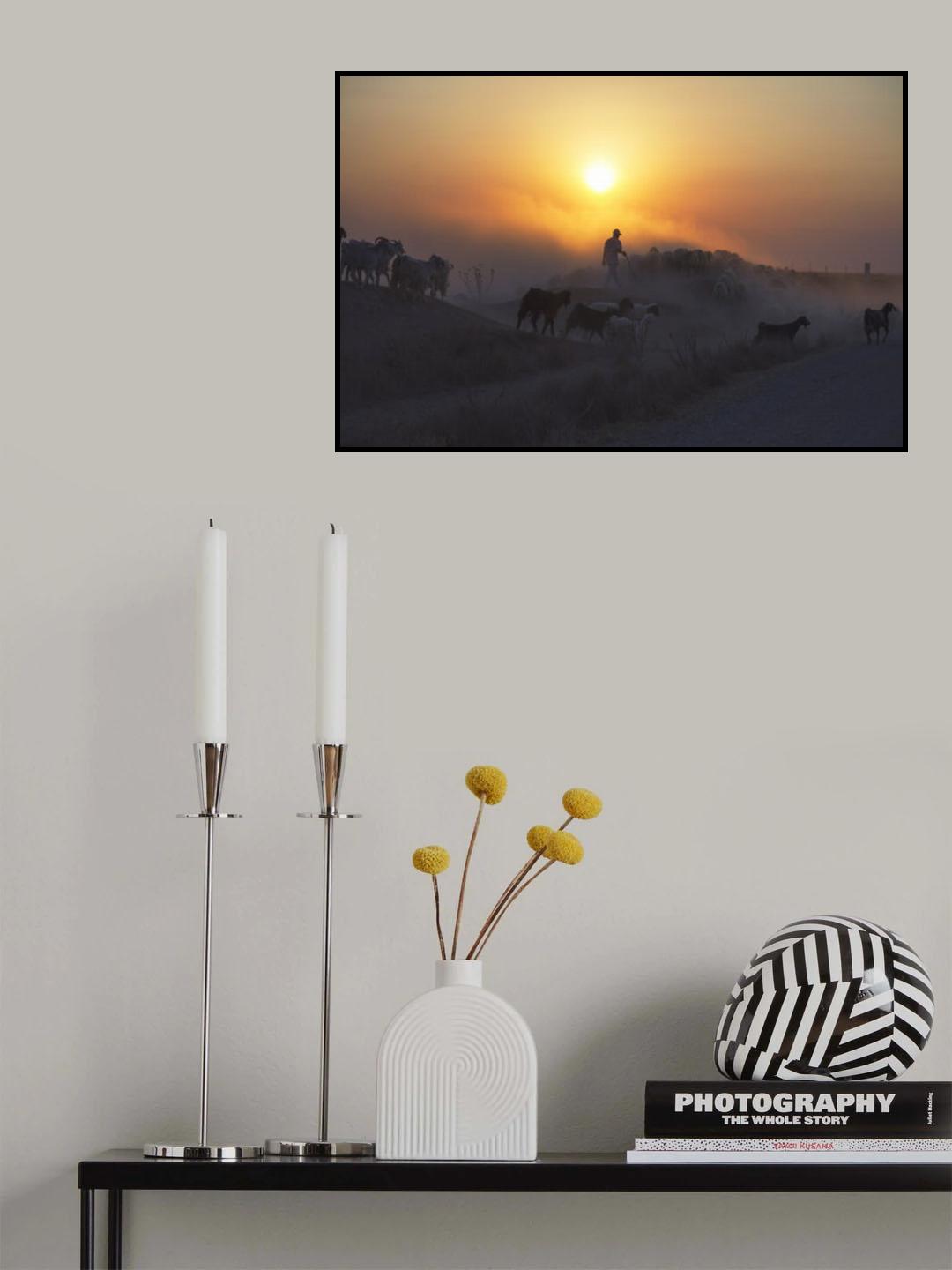 afternoon Poster och Canvastavla