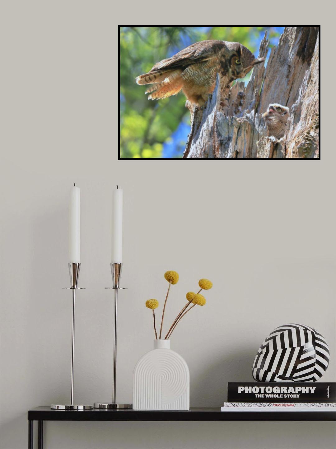 Great Horned Owl Poster och Canvastavla