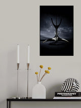 The Solfar Poster och Canvastavla