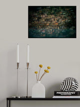 multi house Poster och Canvastavla