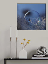 Blue bubble morning Poster och Canvastavla