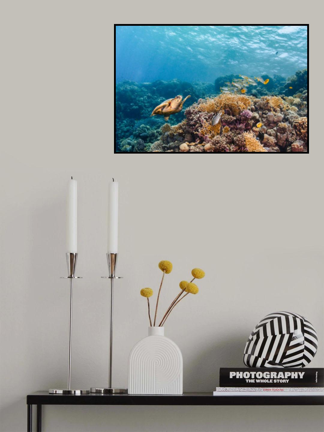 The Reef Life Poster och Canvastavla