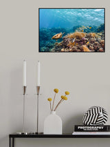 The Reef Life Poster och Canvastavla