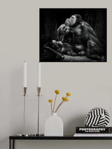 Accompany Poster och Canvastavla