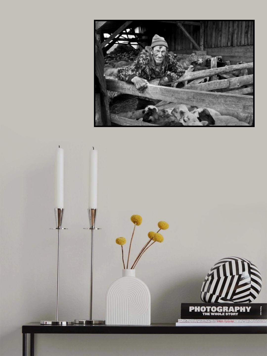 Sheeperd Poster och Canvastavla