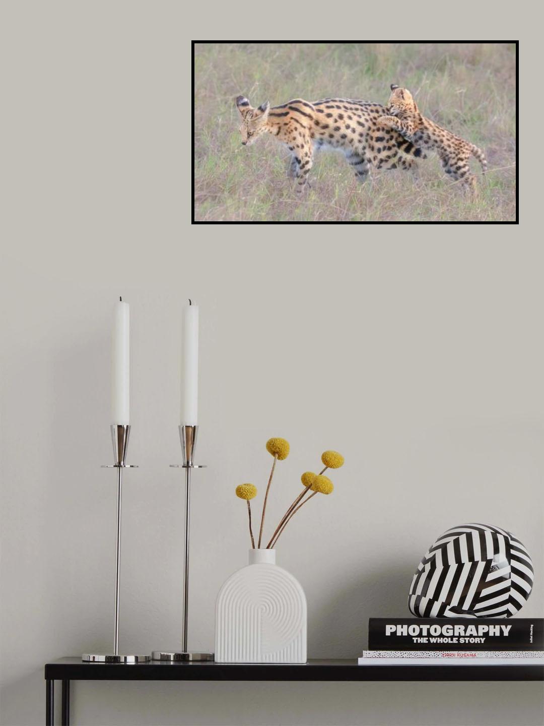 Lets play,  Mom Poster och Canvastavla