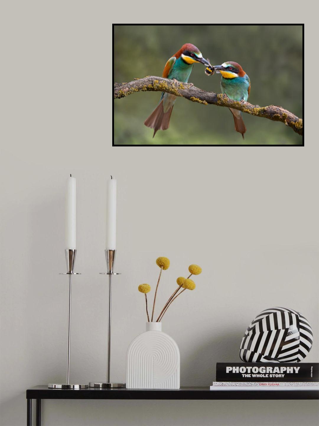 Sharing Poster och Canvastavla