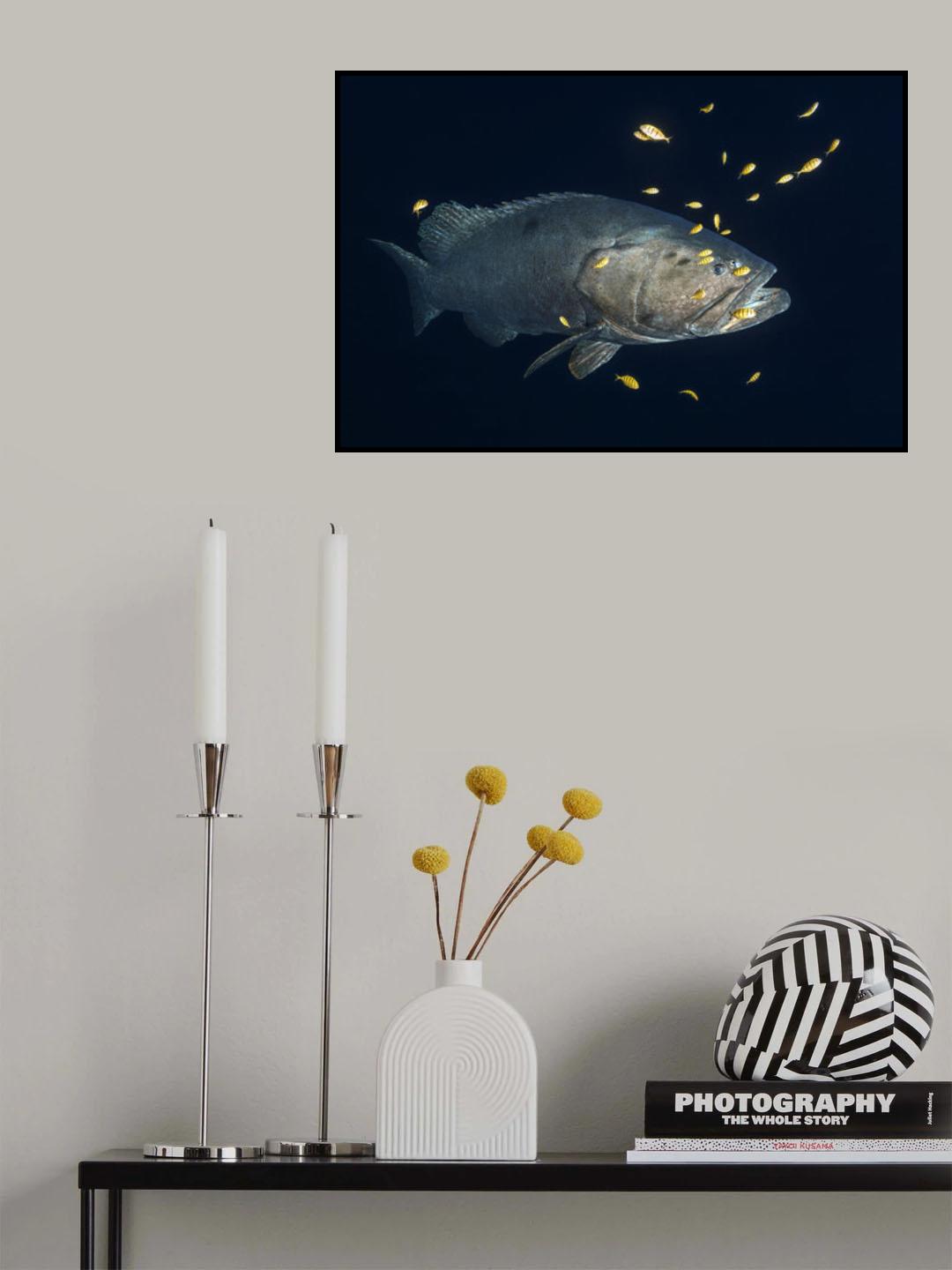 Giant grouper Poster och Canvastavla