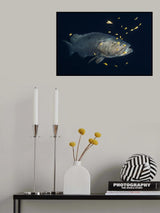 Giant grouper Poster och Canvastavla