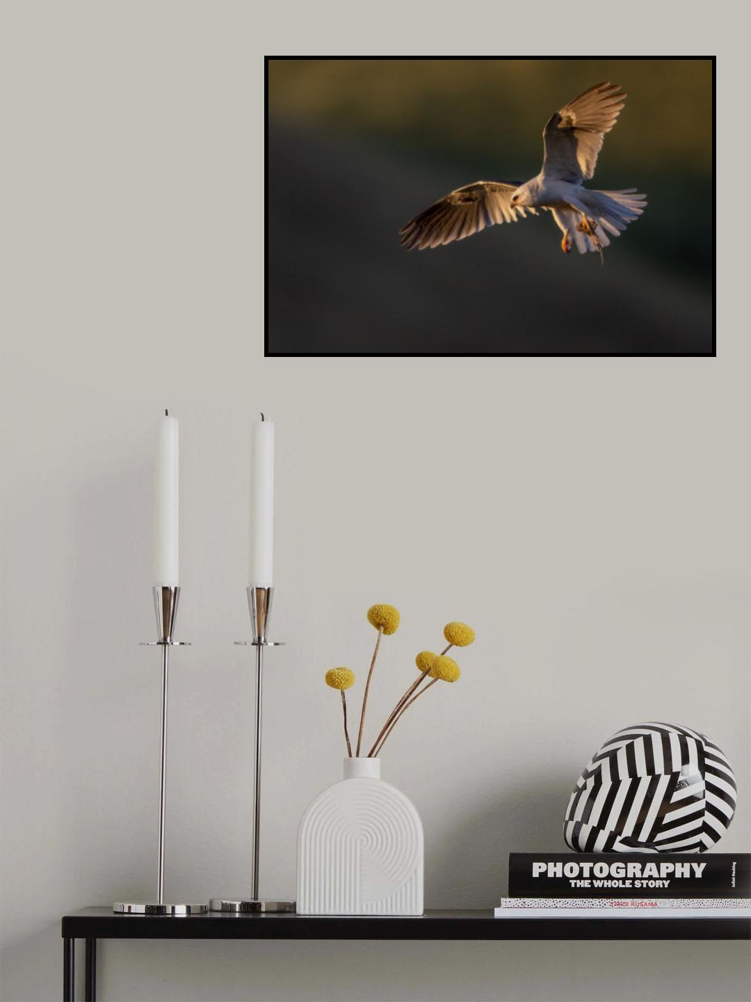 Two Voles With One Paw Poster och Canvastavla