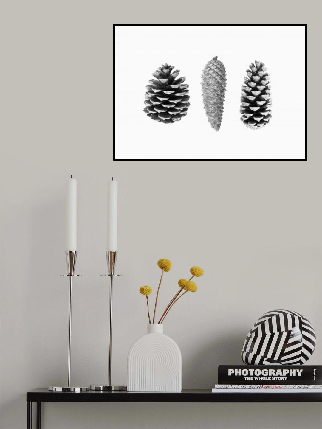 Pine Cone Study Poster och Canvastavla