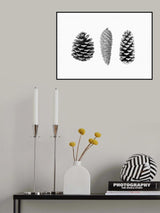 Pine Cone Study Poster och Canvastavla