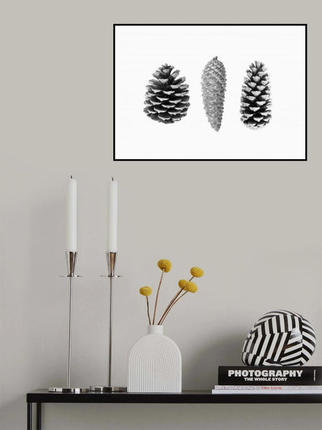 Pine Cone Study Poster och Canvastavla