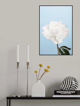 Peony_1 Poster och Canvastavla