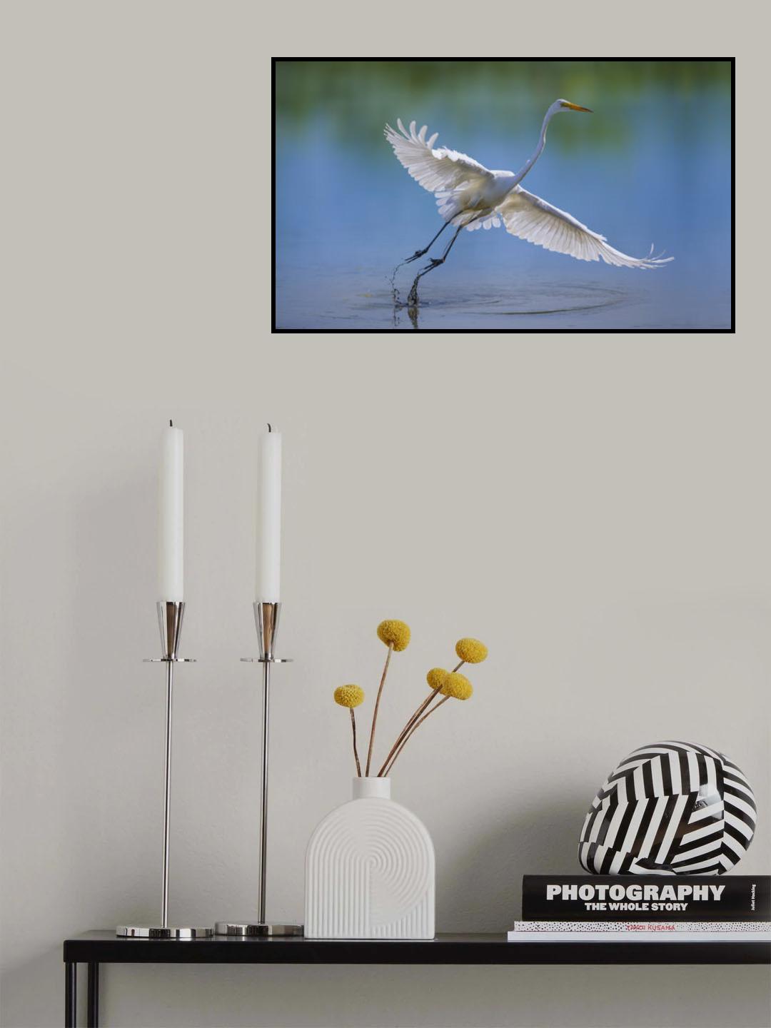 Poster och Canvastavla