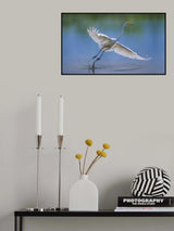 Poster och Canvastavla