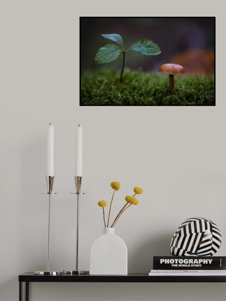 Autumn composition Poster och Canvastavla