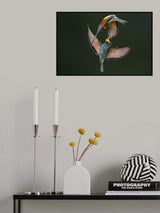 Fight Between Rainbows Poster och Canvastavla