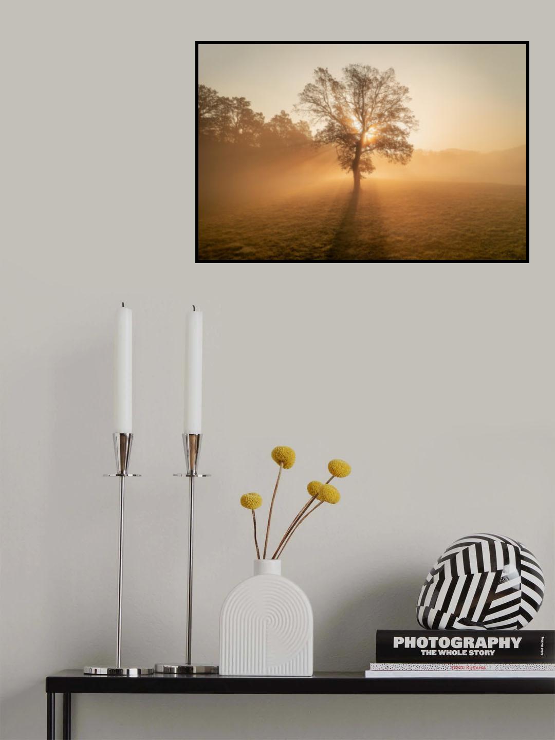 Lonely tree Poster och Canvastavla