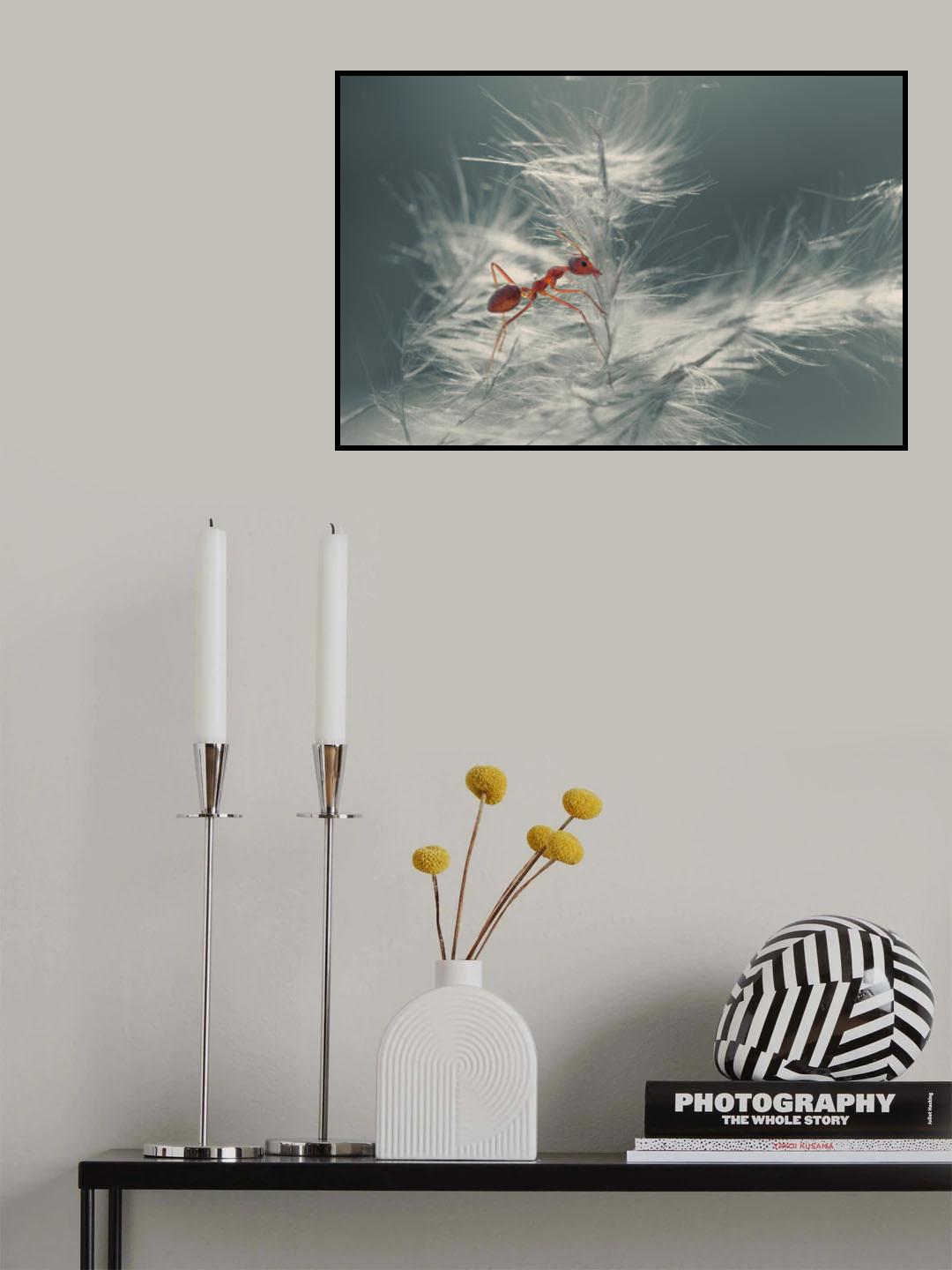 musim dingin Poster och Canvastavla