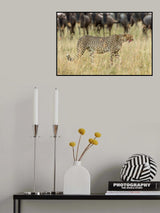 Walking Poster och Canvastavla