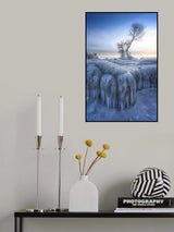 Winter Wonderland Poster och Canvastavla