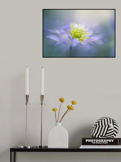 Windflower Poster och Canvastavla