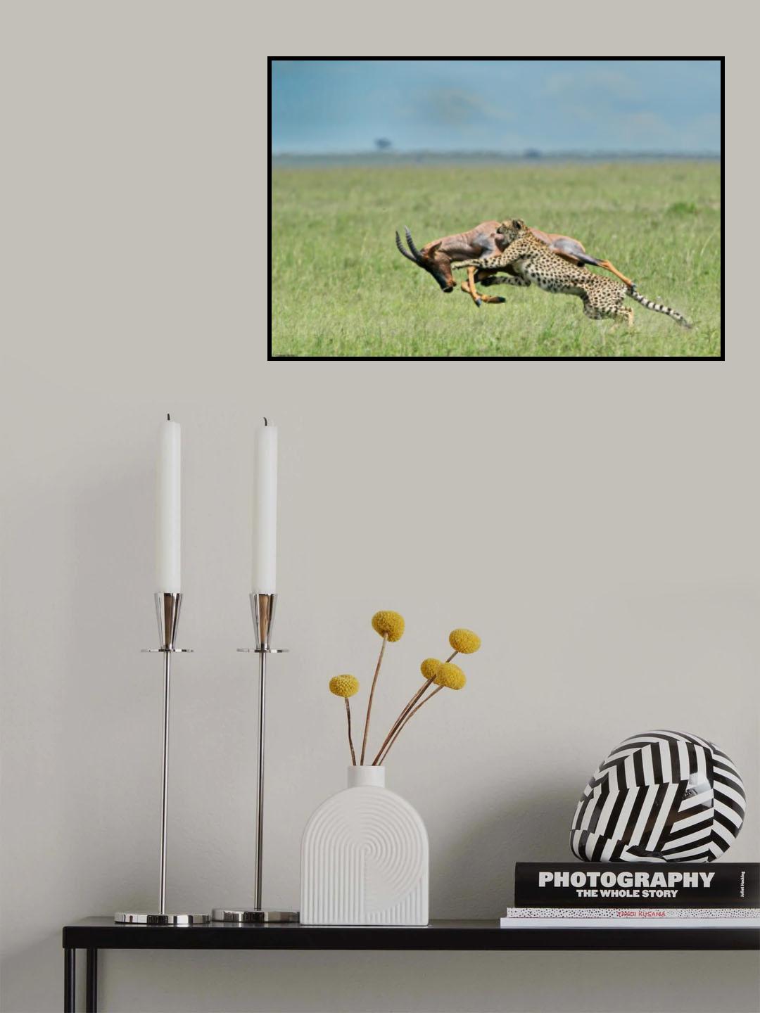 The chase Poster och Canvastavla
