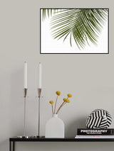 Palm Leaves Foliage Photo III Poster och Canvastavla
