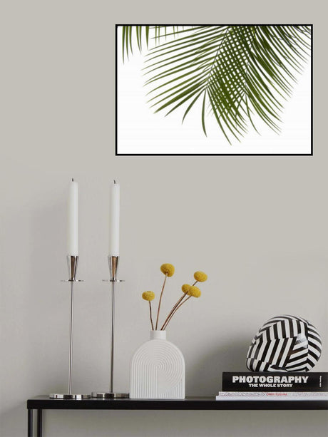 Palm Leaves Foliage Photo III Poster och Canvastavla
