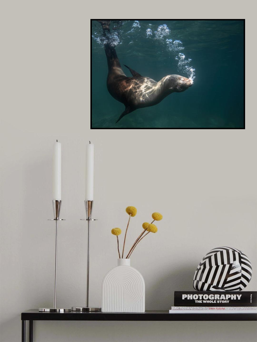Happy bubbling Poster och Canvastavla
