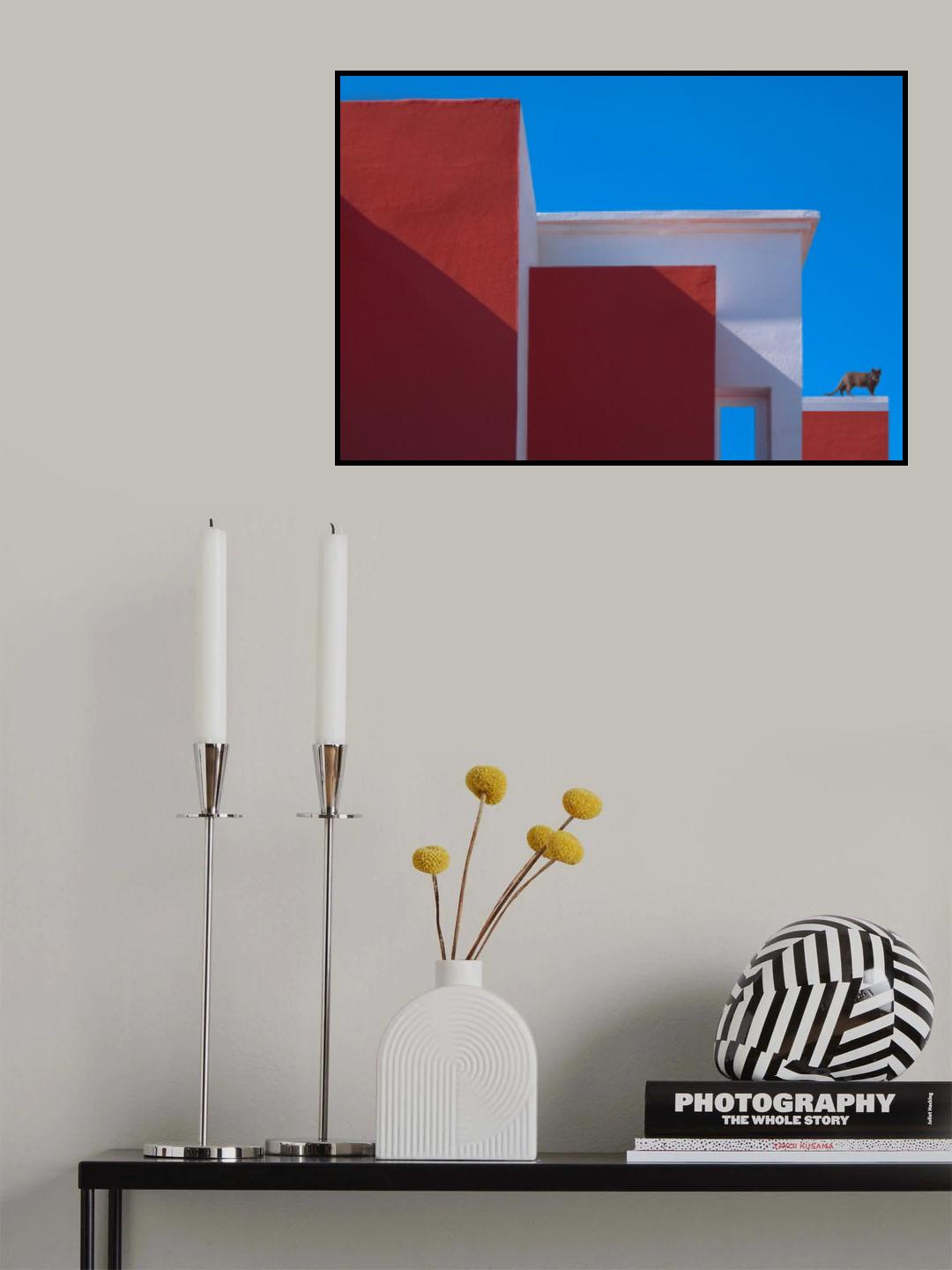 Cat on the roof Poster och Canvastavla