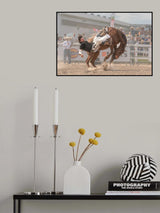 Falling Poster och Canvastavla