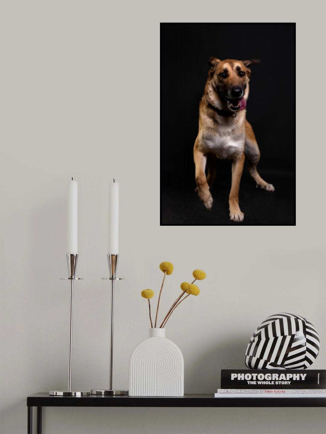 Tail Tia Poster och Canvastavla