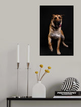 Tail Tia Poster och Canvastavla