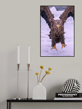 Vici Poster och Canvastavla