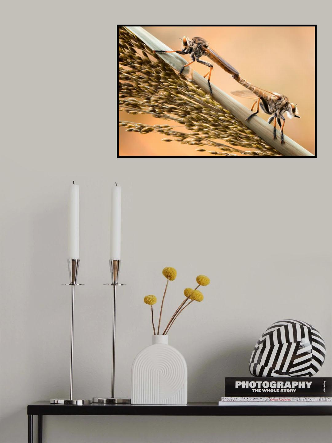 Golden Robberfly Moment Poster och Canvastavla