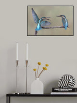 What's up! Poster och Canvastavla