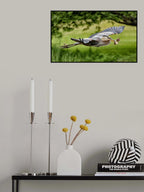 A Successful Fishing Expedition Poster och Canvastavla