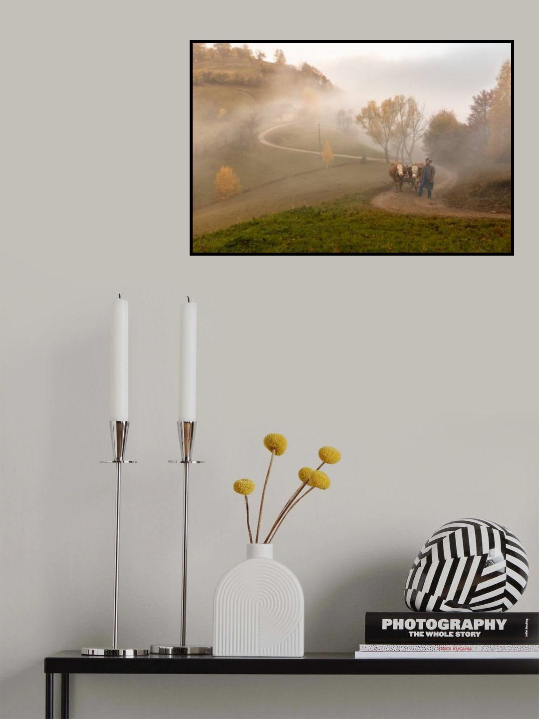 A surprise ox cart Poster och Canvastavla