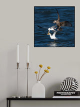 Fierce Fighters Poster och Canvastavla