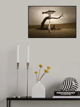 Catch of the day Poster och Canvastavla