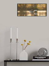 Fishing Swan Lake Poster och Canvastavla