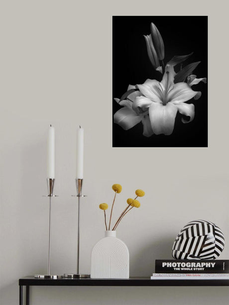 Lilium Poster och Canvastavla