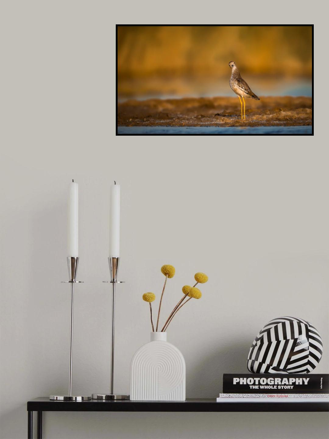 What ? Poster och Canvastavla