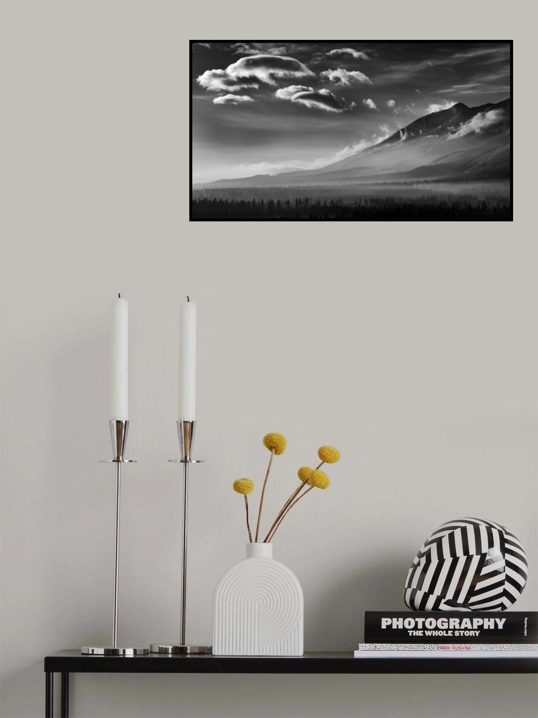 Dolphinarium Poster och Canvastavla